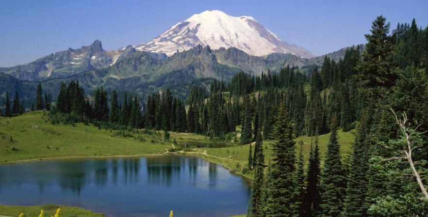 福州欣景园环境设备有限公司轮播图5